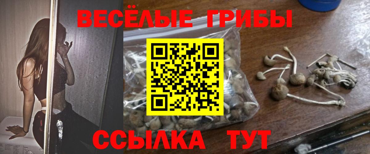 Верхняя Пышма  Галлюциногенные грибы прущие грибы  купить наркотики сайты  Вход с VPN 